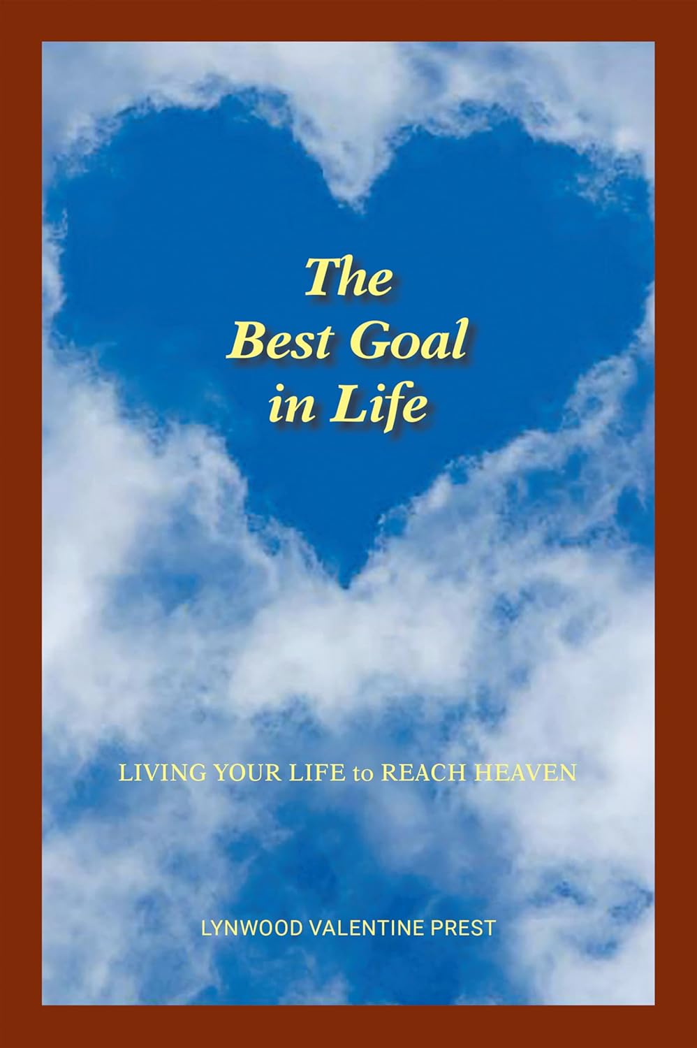The Best Goal in Life book cover